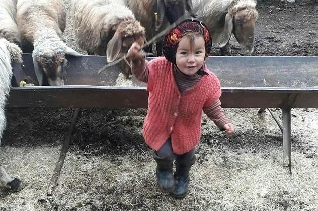 Türkiye'yi derinden sarsan Müslüme cinayetinde flaş iddia! Olay yerinde yapılan keşifte...