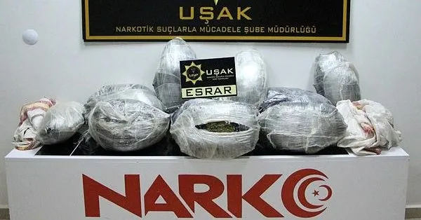 Son Dakika Usak Tan Izmir E Sevk Edilen 40 Kilo Esrar Dedektor Kopeklere Takildi Takvim