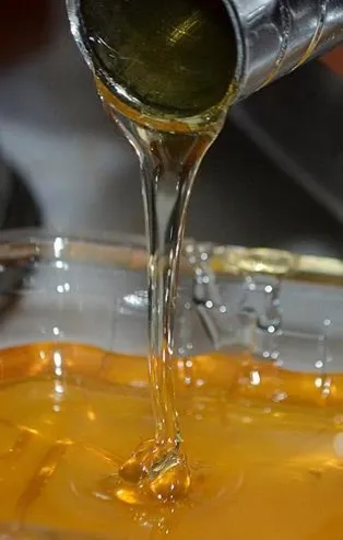 Sahte bala yeni önlem! Tarım ve Orman Bakanlığı düğmeye bastı: 6 haneli kodla telefondan kontrol