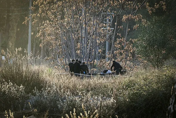 Son dakika: Antalya'da kan donduran vahşet! Ormanlık alanda kafası ve kolları olmayan çıplak erkek cesedi bulundu-4
