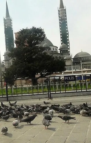 Türkiye sevdikleri için evde kalınca meydanlar kuşlara kaldı