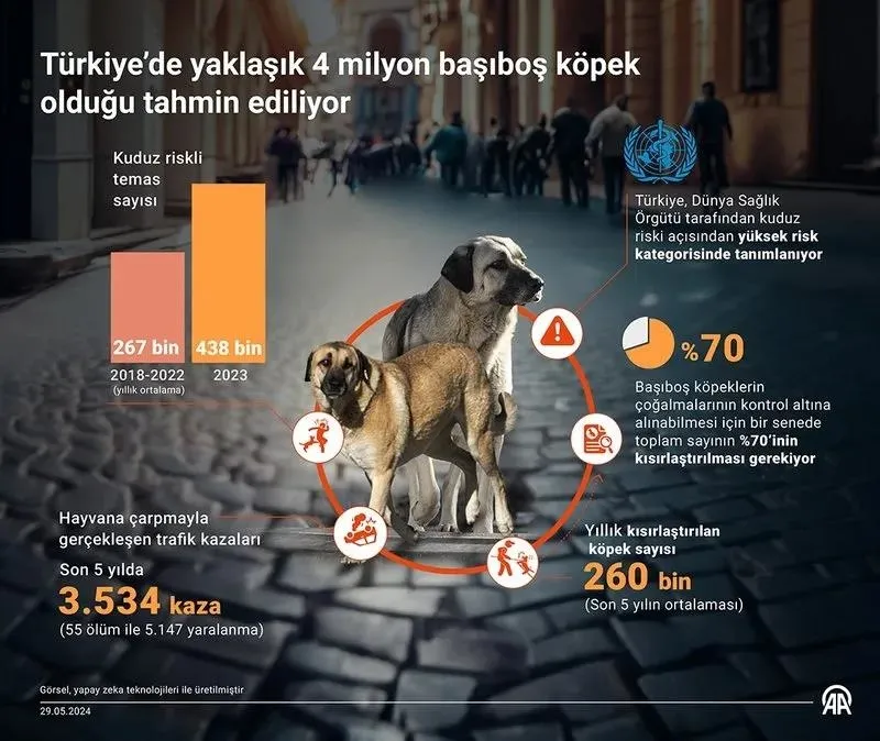 Sokakların güvenli olmasını isteyenler başıboş köpeklere çözüm bekliyor! Tehlike sadece saldırı değil: 2023'te 438 bine ulaştı | Kist hidatik nedir?-2