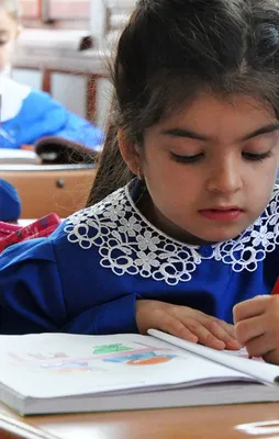 Hükümetten "Okul Yemeği Programı" adımı