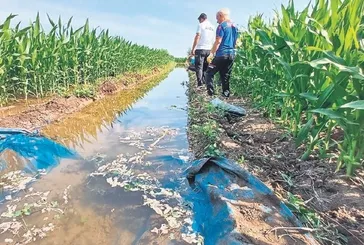 Tarım işçisi sulama kanalında ölü bulundu