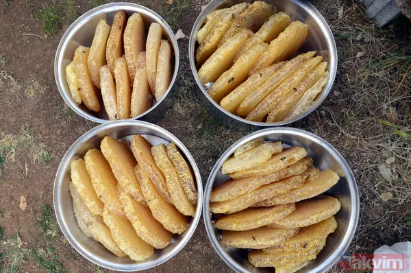 Kilosu 350 TL! 3 bin rakımda üretilen karakovan balından bu yıl 250 ton bekleniyor - 22