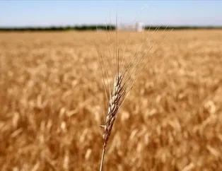 Gıda krizinde çözüm İstanbul’da!