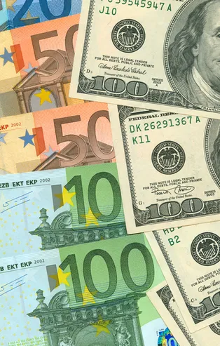 Euro ve dolar bugün ne kadar? (21 Şubat 2019)