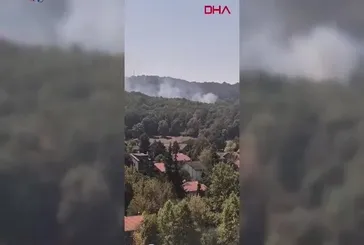 Sarıyer'de korkutan orman yangını!