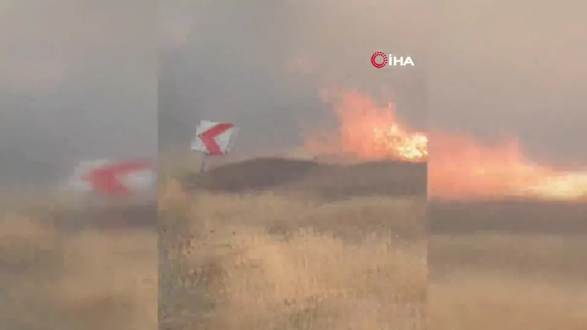 Gaziantep Nizip'te orman yangın!