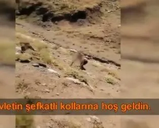 Devletin şefkatli kollarına hoş geldin