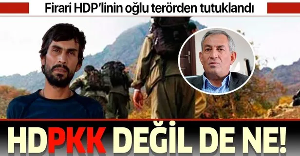 Firari HDP'li Çelik'in oğlu terörden tutklandı!