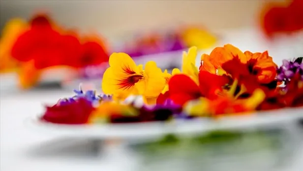 14-subat-cicekciler-acik-mi-hafta-sonu-14-subat-sevgililer-gununde-cicek-siparisi-verilir-mi-1613121196520.jpg Bugün çiçekçiler açık mı, çiçek siparişi veriliyor mu? 14 Şubat Çiçeği gönderecekler için romantik sözler…-2