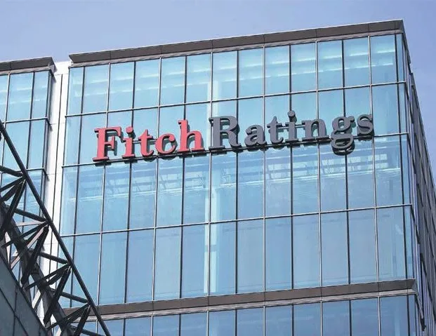 Fitch görmezden gelemedi