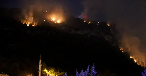 Karabük'te yine orman yangını! 80 haneli köy tahliye edildi