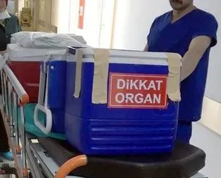 Organları 7 kişiye umut oldu