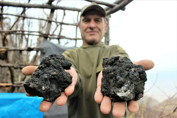 gokyuzunde-isik-gordu-olumden-dondu-basina-binlerce-dolar-degerinde-talih-kusu-kondu-1610791185939.jpg Gökyüzünde ışık gördü, ölümden döndü! Başına binlerce dolar değerinde talih kuşu kondu!-6