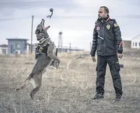 Deprem enkazından faili meçhule: Hassas burun Melo emekliliğe hazırlanıyor