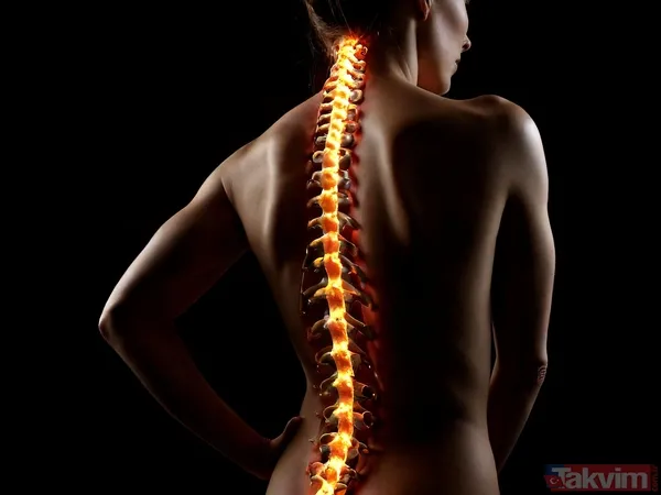 Bel fıtığı ve sinir sıkışmasına İbrahim Saraçoğlu'ndan 1 ayda sonuç veren yöntem - 11