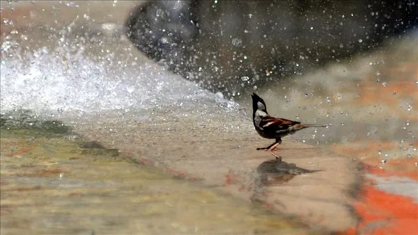 HAVA DURUMU | Eyyam-ı Bahur İstanbul'u kavuracak: Termometreler 40 dereceyi görecek | 3 Ağustos 2023 hava durumu-13