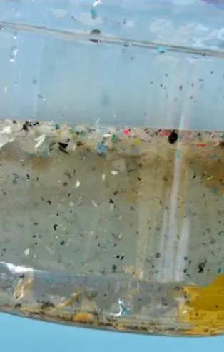 Sel sonrası Karadeniz'de 'mikroplastik' tehlikesi: Ciddi sağlık riskleri yaratabilir