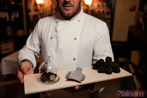 Köpekler buluyor! KİLOSU 72 BİN TL! Siz de toplayıp para kazanabilirsiniz! Türkiye'de 225 kilo bulunuyor! - 17