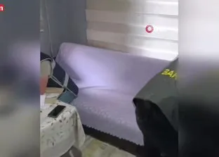 Bartın’daki fuhuş operasyonunda 4 tutuklama
