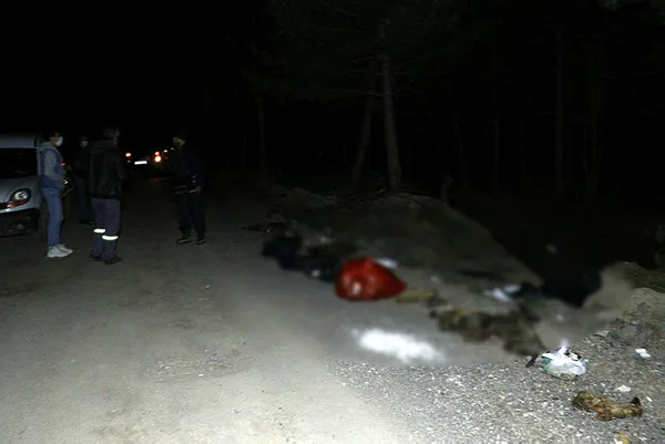 ankarada-imrahor-deresi-yataginda-damar-yolu-acilmis-30-kopek-olusu-bulundu-1617916995998.jpg Ankara'da İmrahor Deresi yatağında damar yolu açılmış 30 köpek ölüsü bulundu-4