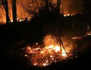 Orman yangınlarını PKK üstlendi