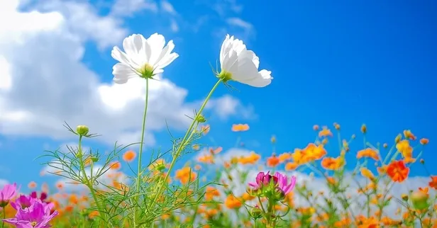 En güzel Nevruz mesajları sözleri! 21 Mart resimli Nevruz mesajları... Nevruz nedir, neden kutlanır?-5