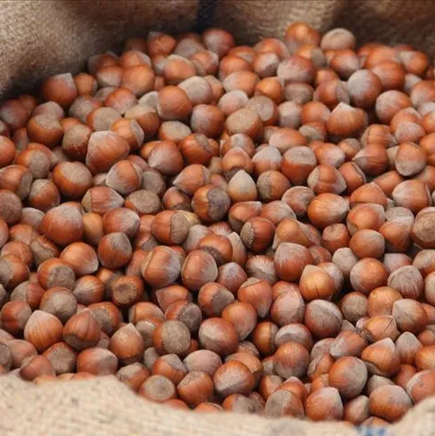 Piyasa manipülasyona teslim edilmez