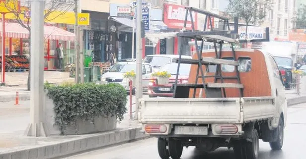 Yalova Belediyesi'nden 'kedi' hizmeti