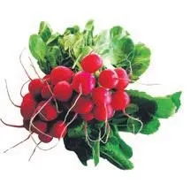 uzmanlar-uyariyor-dis-curuklerini-azaltmak-icin-sut-ve-yogurt-tuketin-1689882573274.jpeg Uzmanlar uyarıyor: Diş çürüklerini azaltmak için süt ve yoğurt tüketin-3