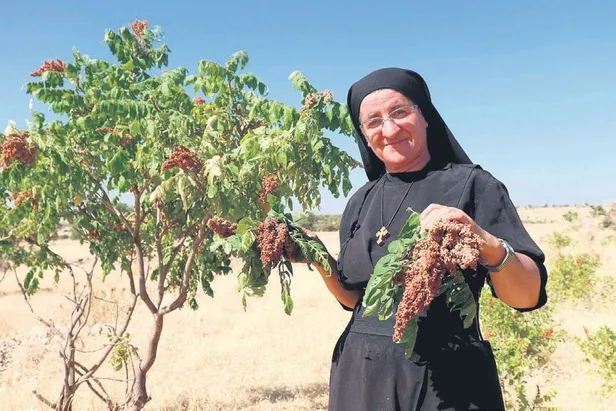 seanslarda-yer-bulmak-imkansiz-turkiyenin-yeni-gundemi-aile-dizimi-terapisi-yasam-haberleri-1662418692312.jpeg Seanslarda yer bulmak imkansız! Türkiye'nin yeni gündemi aile dizimi terapisi |Yaşam haberleri-3
