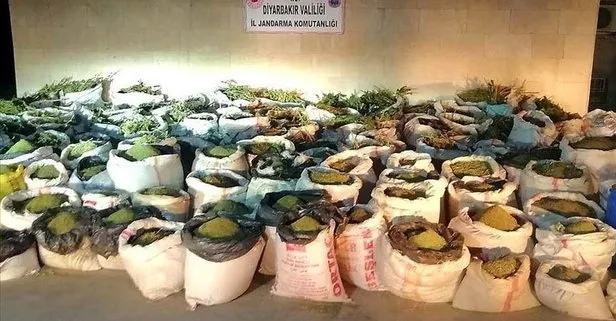 Son dakika... PKK'ya dev uyuşturucu operasyonu