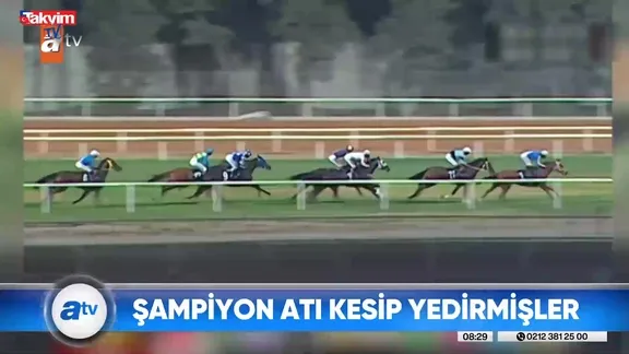 CHP'li Mersin Büyükşehir'in aşevindeki at eti skandalında şok: Kesilen hayvan 3 birinciliği olan Smart Latch