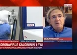 İlk koronavirüs vakasının ardından 1 yıl geçti! 2021 yılında koronavirüste neler yaşanacak?