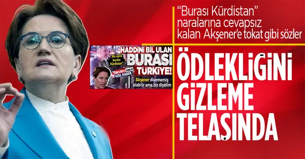 MHP'li Semih Yalçın'dan İYİ Parti Genel Başkanı Akşener'e salvo: Ödlekliğini gizleme telaşında