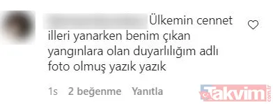 Ünlüler eş zamanlı başlayan orman yangınlarına sessiz kalmadı! Süreyya Yalçın ise öyle bir paylaşım yaptı ki tepkiler peş peşe geldi - 18
