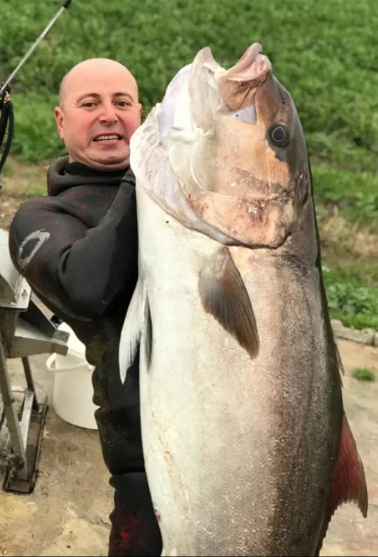 zipkinla-avladi-1-metre-85-santimetre-uzunlugunda-akya-1613467590708.jpg Zıpkınla avladı! 1 metre 85 santimetre uzunluğunda akya-3