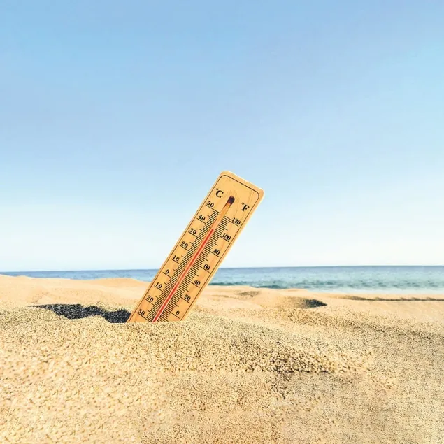 Hepimizi sar’sıcak’