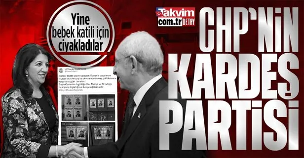 HDP’den bir skandal daha! PKK elebaşı Abdullah Öcalan’ın paçavralarını bastırıp özgürlük istediler