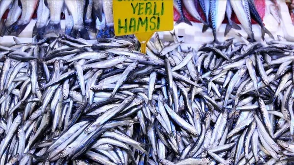 1607523322378.jpg Hamsi fiyatları yeniden artışa geçti-4