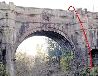 600 köpek arka arkaya intihar etti