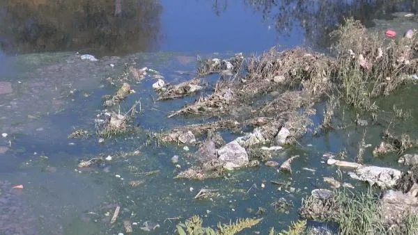 Son dakika: İstanbul Yeşilköy'de vatandaşı isyan ettiren görüntü: Dere çöp ve pislikle kaplandı-2