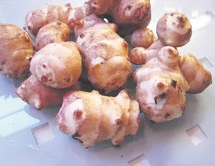 Pankreasa yer elması