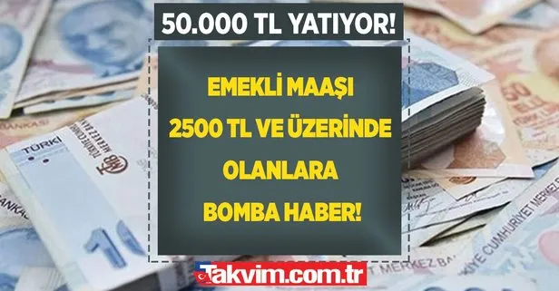 Emekli maaşı 2500 TL ve üzerinde olanlara talih kuşu kondu! 50.000 TL’ye kadar hesaba yatıyor! Biraz önce açıklandı!