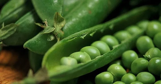 Güzellik sırrı bezelye: Faydaları nelerdir? Cilde iyi gelir mi?