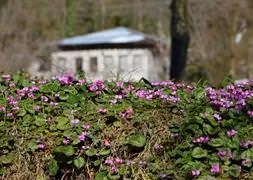 Hafta sonu hava nasıl geçecek?