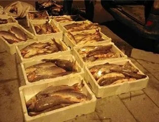 400 kilogramlık kaçak balık hibe edildi