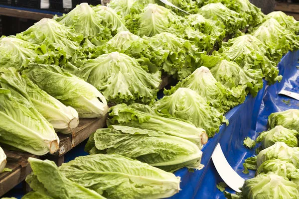 Sağlıklı diye bildiğimiz besinler ölüme yol açabilir-13